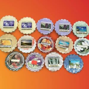 Vintage Yankee Candle Wax Tarts Lot of 14 Spring Summer Floral Beach Retired